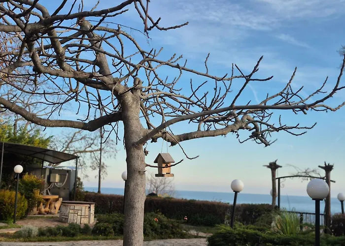 Complex Maxim - Sea View ゲストハウス