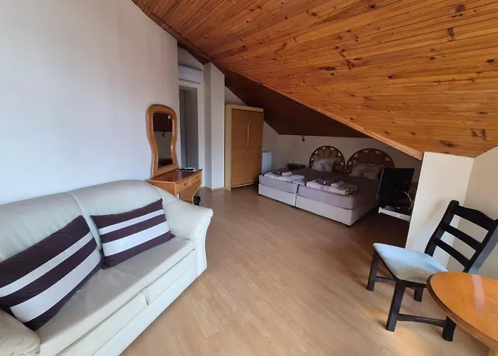 ゲストハウス Complex Maxim - Sea View