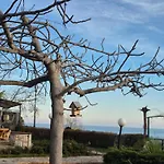 Complex Maxim - Sea View Πανσιόν