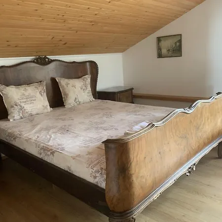Guest house Complex Maxim