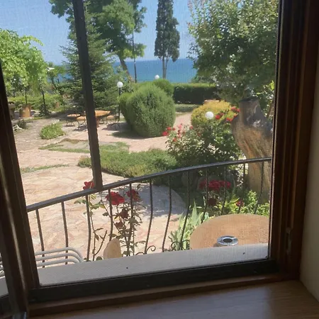 Complex Maxim - Sea View