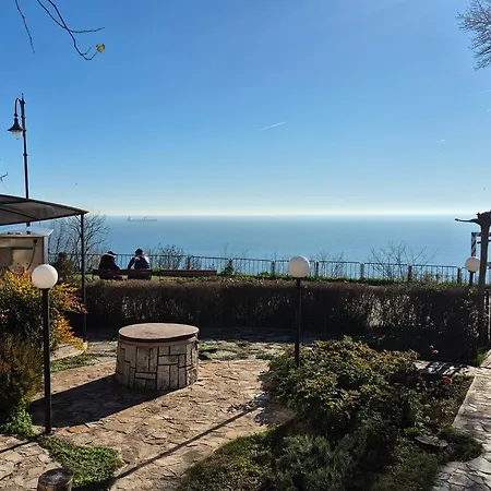 Complex Maxim - Sea View