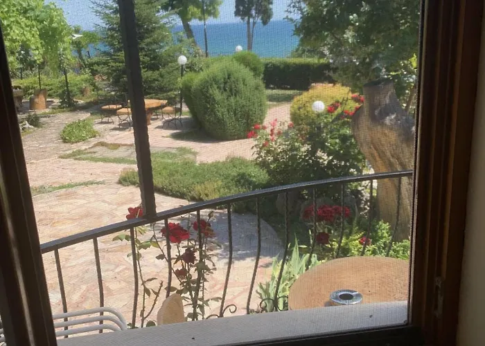 Complex Maxim - Sea View